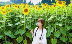 中文字日产幕码三区的做法步骤